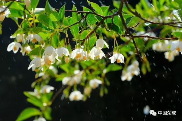 sỨľɽc(din)ٝ^|